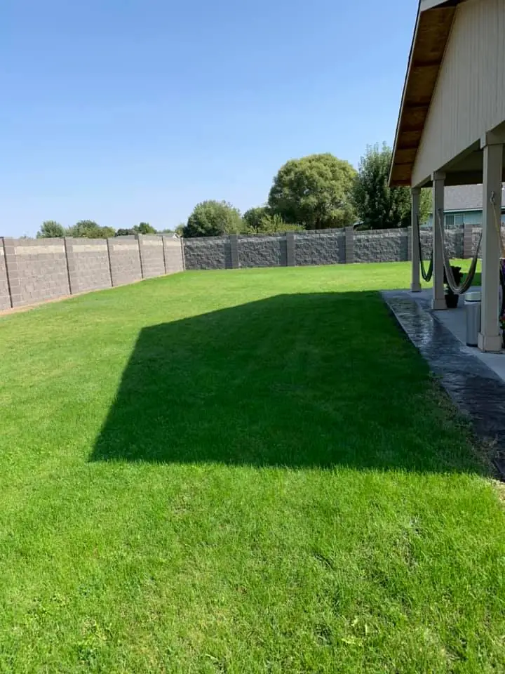Healthy green backyard lawn inside a block wall
