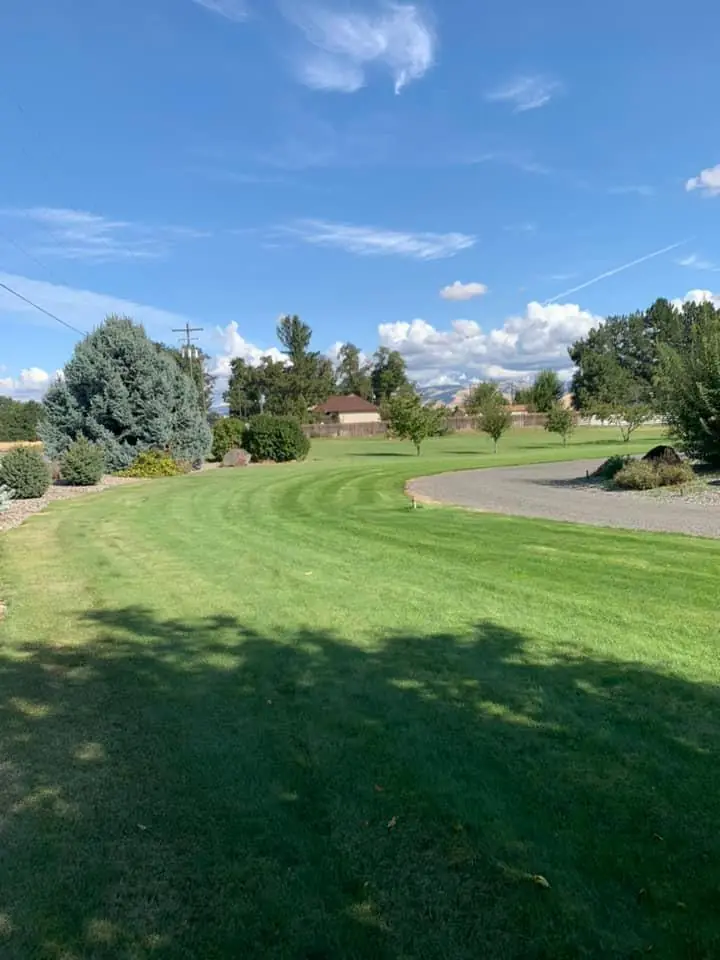 Wide, freshly mowed lawn under a blue sky