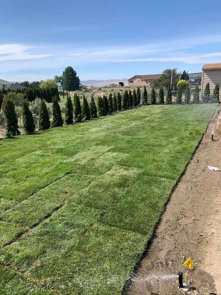 New sod and a fresh row of arborvitae with the hills beyond